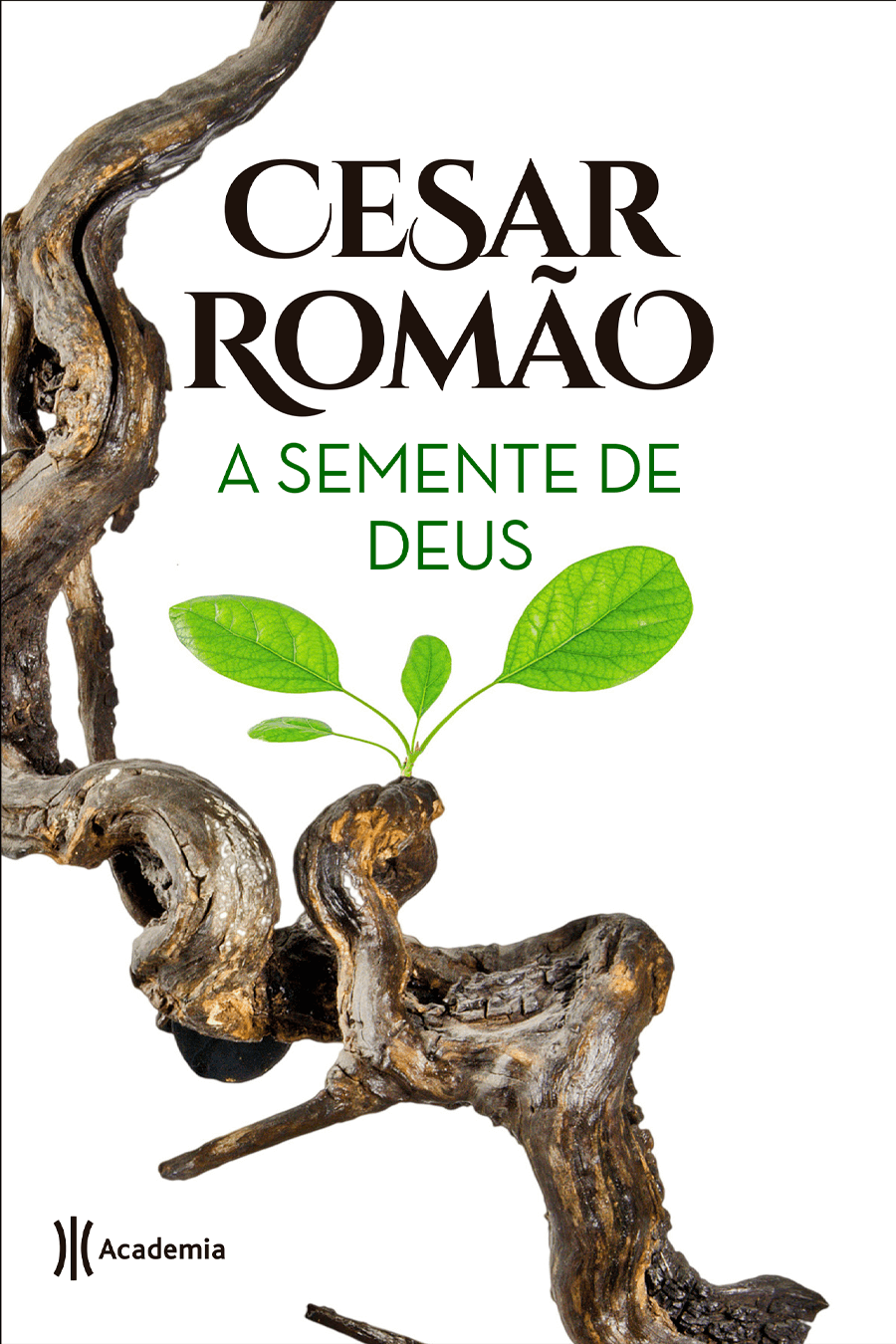 Capa de A Semente de Deus
